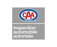CAA Inspection